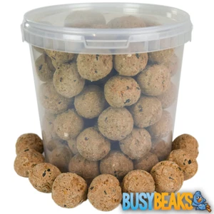 BusyBeaks Suet Fat Balls - High Energy Feed Wild Garden Bird Food Treats - Picture 1 of 16