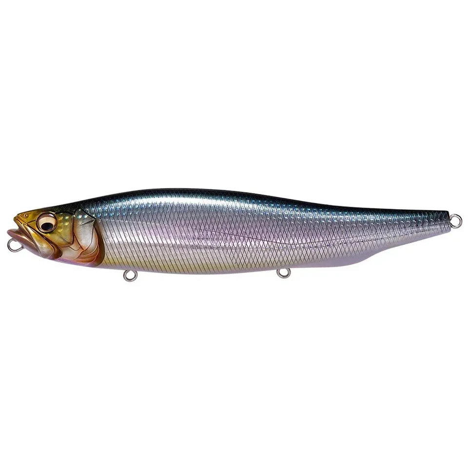 Megabass Lure Megadog Sardine IWASHI Length 220mm Weight 130g Type Floating