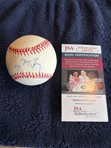 Denny McLain Autographed Rawlings Official League Baseball JSA COA Vintage - Picture 1 of 9