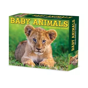 Baby Animals 2025 Calendario scatola 6,2"" x 5,4 - Foto 1 di 6
