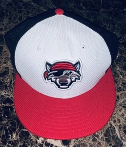 Erie SeaWolves Minor League Baseball Passform Mütze 7 5/8 New Era 59FIFTY NEU - Bild 1 von 4