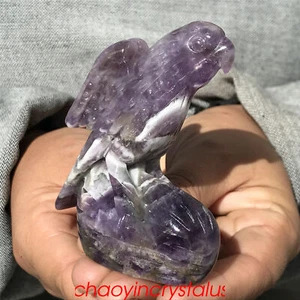 0.24LB Natural Dreamy Amethyst parrot Skull Quartz Crystal Carved XK1421-05-A - Picture 1 of 11