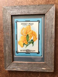 SWEET PEAS, Spencer Orange, Burt's Antique Seed Packet, Framed Art Decor - Picture 1 of 3