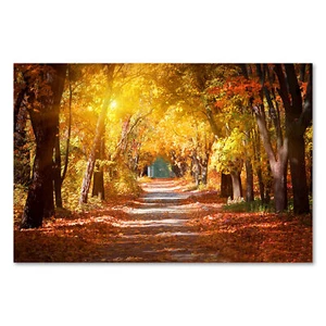 Postereck 2556 Poster Leinwand Herbst Allee, Park Weg Landschaft Natur Baum - Bild 1 von 7