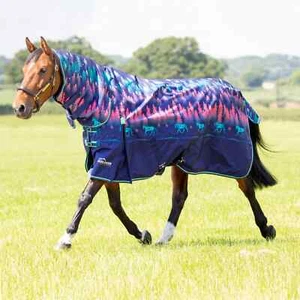 Shires Highlander 200g Horse/Pony Turnout Full Neck Combo Rug, 2 Colour Options - Picture 1 of 4