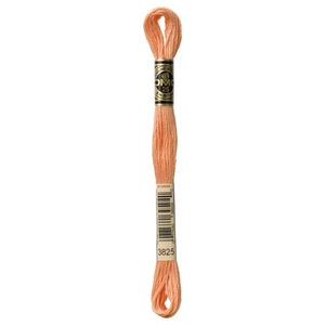 DMC 6-Strand Embroidery Cotton 8.7yd-Pale Pumpkin - 12 Pack - Picture 1 of 1