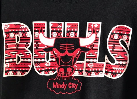 Chicago Bulls NBA Hanes Sweater Mens M Black Windy City Graphic Sweatshirt Cover