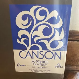 Canson Mi-Teintes DARK GRAY Pastel Drawing Paper 19x25" 10-pack 98 lb Sealed NEW - Picture 1 of 2