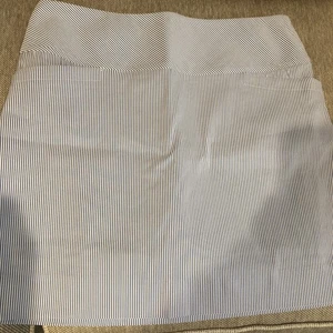 SC & Co Blue/ White Stripe Skort ~ Size Large - Picture 1 of 3