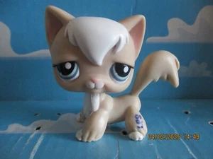 PETSHOP CHAT ANGORA N°1047 - Imagen 1 de 6