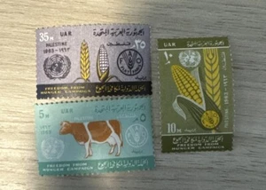 Egitto - cast. palestina 125-127 MNH 1963 fame - Foto 1 di 1