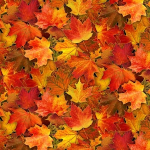 1 7/8 Yards Elizabeth's Studio Landscape Medley Fall Leaves Cotton Fabric M613E - Picture 1 of 1
