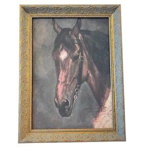 Framed Timeless Horse Canvas Reprint W/ Ornate Gold & Blue Frame Equestrian Art - Picture 1 of 9