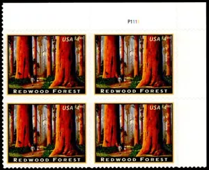 US Scott # 4378 Priority Mail Plate Block Of 4 Stamps MNH, Redwood Forest - Picture 1 of 1