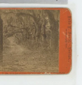 Live Oak Avenue Bonaventure Savannah GA Georgia John Soule Stereoansicht um 1870 - Bild 1 von 2