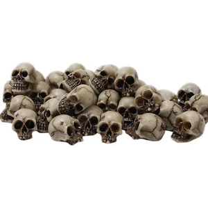 Small Skull Heads 20pcs Fake Skeleton Heads Reusable Skulls Crafts Trick Toy - Picture 1 of 12