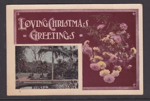 POSTCARD: 1900s??  BOTANICAL GARDENS  SYDNEY  VERY FINE CARD. - Imagen 1 de 2