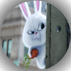 Colocador de tartas cumpleaños fiesta imagen de tartas fondant - Oblate Pets P1 - Imagen 1 de 1