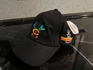 2013 Lollapalooza Chicago Blackhawks Fitted Hat Sz L/XL NWT - Picture 1 of 1