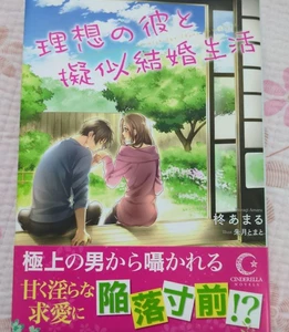 A Pseudo-Married Life with My Ideal Boyfriend from Japan (Used) (Good Condition) - Foto 1 di 2