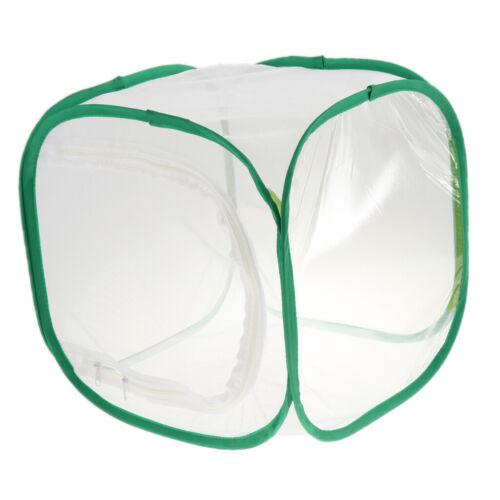 Butterfly House Collapsible Insect and Butterfly Habitat Nest Mesh Cage