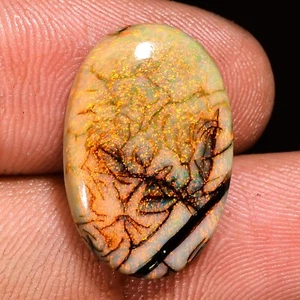 05.50 Cts. 100% Natural Brilliant Monarch Opal Oval 20X13X4 MM Cabochon Gemstone - Picture 1 of 3