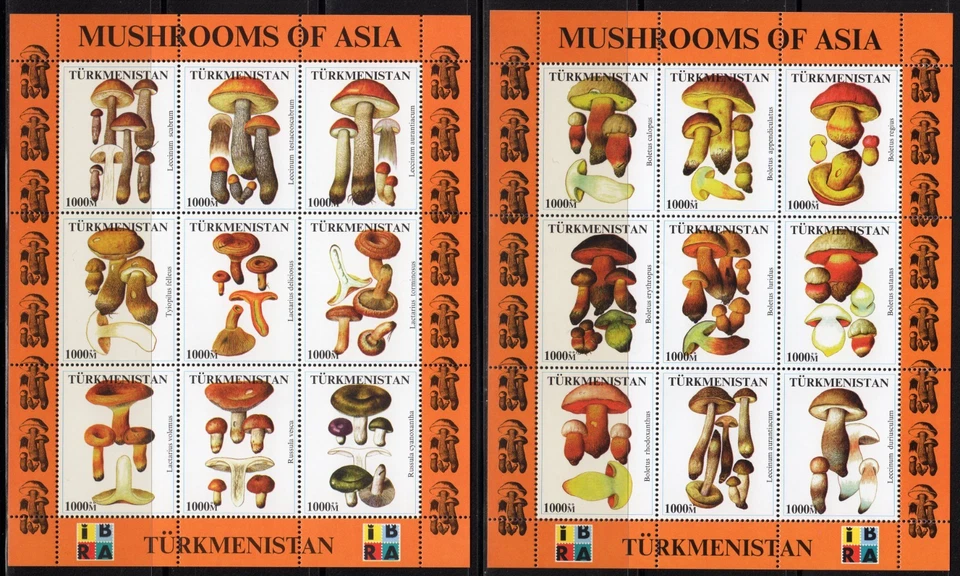 Turkmenistán 1999 HONGOS DE ASIA-IBRA NUREMBERG '99 EXPOSICIÓN 2 Hojas de 9 Foto 1 de 1