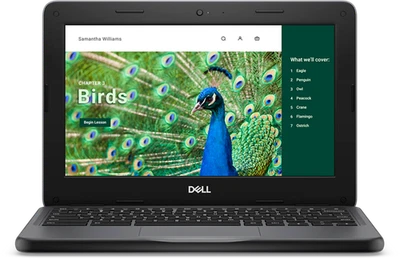 Dell 3120 11.6" Chromebook, Intel N100, 4GB RAM, 64GB eMMC, ChromeOS - CC6PF - Image 1 of 4