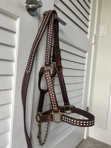 New MacPherson Buckstitched Horse Halter & Lead W/ Brass Fittings - Picture 1 of 5