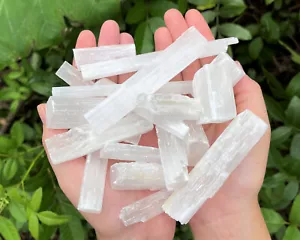 BULK 2 lb Wholesale Lot Selenite Logs Crystal Sticks Wand Blades CLEARANCE 900g - Bild 1 von 10
