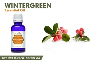 Natural Wintergreen Essential Oil 100% Pure Aromatherapy Oils Therapeutic Grade - Picture 1 of 3