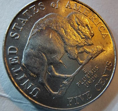 2005 D Buffalo Nickel Buffalo "Peeing" die break Error Quirky Coin to Collect - Image 1 of 4