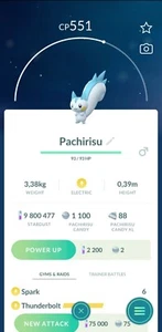 Pachirisu X12 - OCCASIONE FORTUNATA - Foto 1 di 2