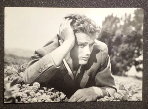 JAMES DEAN - POSTCARD/CARTOLINA/Hollywood/attori/cinema/Celebrities/Actors - Imagen 1 de 2