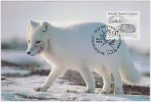 Greenland Maxi 1993, Arctic fox, Polar fox, (Vulpes lagopus), mint - Picture 1 of 1