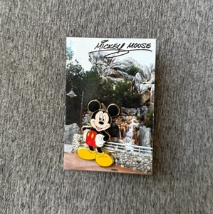 DLR DISNEYLAND RESORT CARD COLLECTION MICKEY MOUSE PIN ~ FREE SHIPPING! - Picture 1 of 6