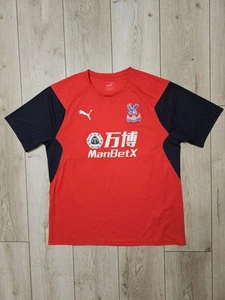 CRYSTAL PALACE 2019 2020 FOOTBALL SHIRT SOCCER JERSEY XL PUMA - Picture 1 of 8
