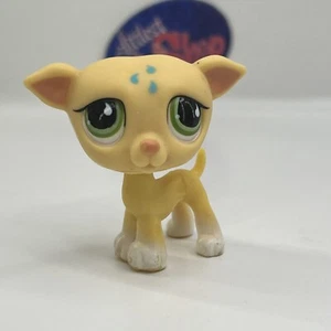 GREYHOUND DOG #875 - Autentico negozio di animali più piccoli - Hasbro LPS - Foto 1 di 4