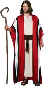 California Costume Prophet Moses Shepherd Adult Men Halloween Outfit 01565 - Picture 1 of 3