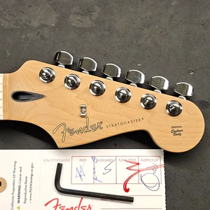 Guitarra Stratocaster Fender Edición Limitada Player Strat 2023 Cuello de Arce Tostado - Imagen 1 de 22