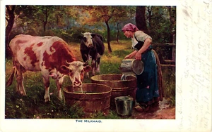 Postcard the milkmaid with Cows - Picture 1 of 2