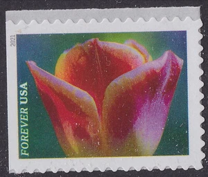 US 5566 Garden Beauty Orange & Yellow Tulip F single MNH 2021 - Picture 1 of 1