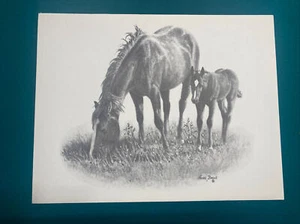 Wayne Baize ‘Horse’ On Canvas Black And White Signed Print 1987 8.5 X11 - Picture 1 of 1