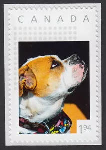 ENGLISH-VICTORIAN BULLDOG ** Picture Postage 1.94 stamp Canada 2022 [p22-01sn07 - Bild 1 von 2