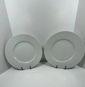 (2) Apilco Porcelaine France “Aqua” Pattern White Large Dinner Plates 12.25” - Picture 1 of 13
