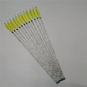 12Pcs 31" Archery Carbon Arrows Feather Nock Recurve Bow Compound Bow Hunting - Picture 1 of 11