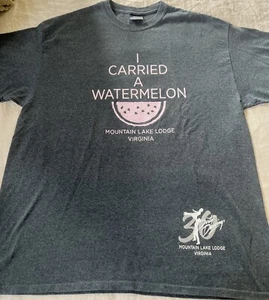 Camiseta Oficial Mountain Lake Lodge Dirty Dancing XL Gris Oscuro/Rosa Unisex - Imagen 1 de 10