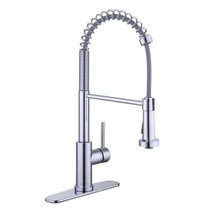 Paulina Single-Handle Spring Neck Pull Down Sprayer Kitchen Faucet in Chrome - Picture 1 of 1