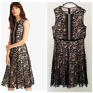 Phase Eight Lucinda Lace Dress Size 16 NWT. - Picture 1 of 6