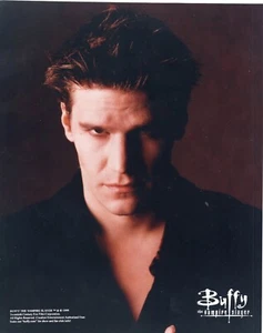 David Boreanaz 8 x 10 Farb lizenziertes Foto (Buffy TV-Schauspieler) KOSTENLOSER VERSAND! - Bild 1 von 2